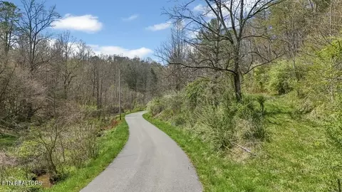 Roses Creek Rd, Clairfield, TN 37715