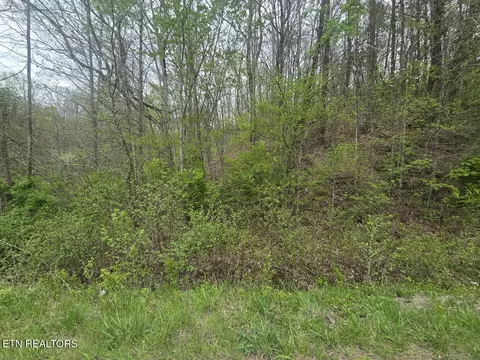 Paint Rock Rd, Oneida, TN 37841