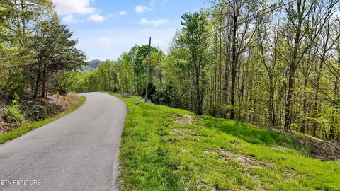 lot149 Whistle Valley Rd, New Tazewell, TN 37825