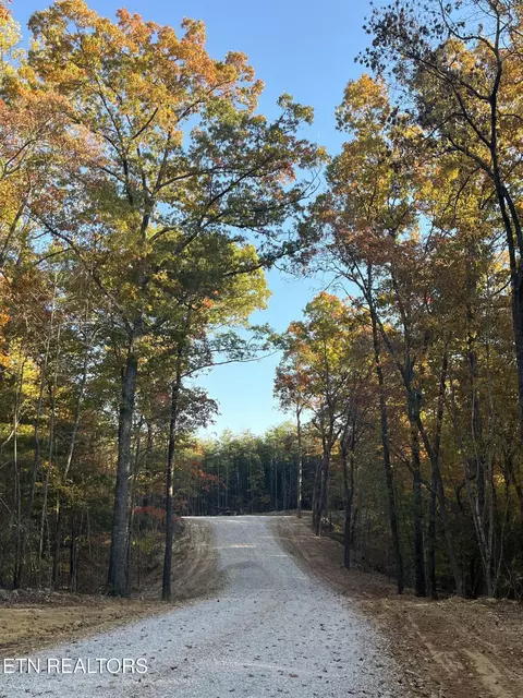111 Cherokee Path, Tellico Plains, TN 37385