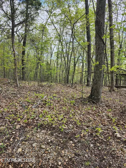 Spruce Drive, Spring City, TN 37381