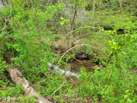 lot45 Alpine Dr, Sevierville, TN 37876