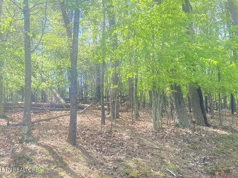 2010 Tahlequah Ln, Mooresburg, TN 37811