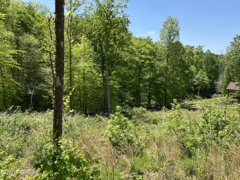 lot33 Timber Creek Rd, Maynardville, TN 37807