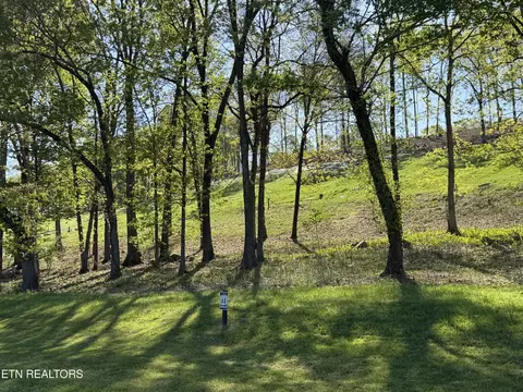 1031 Black Cove Ln, Loudon, TN 37774
