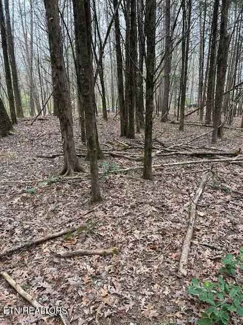 000 Stephanie Ln, Athens, TN 37303