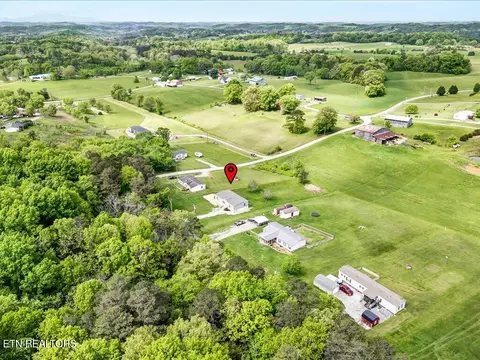 830 Fish Hook Rd, Mosheim, TN 37818 photo 32