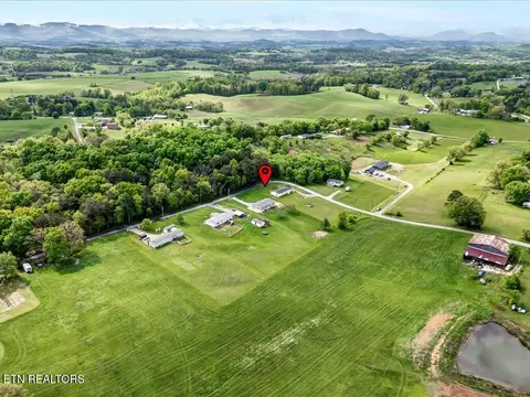 830 Fish Hook Rd, Mosheim, TN 37818 photo 28