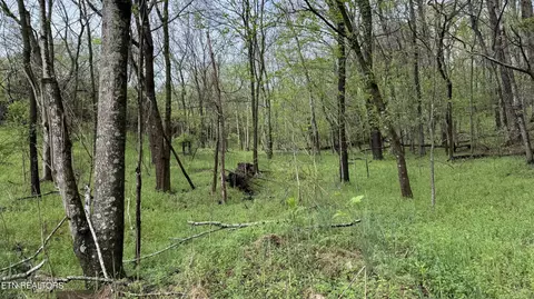 00 Mary Ln, Rutledge, TN 37861