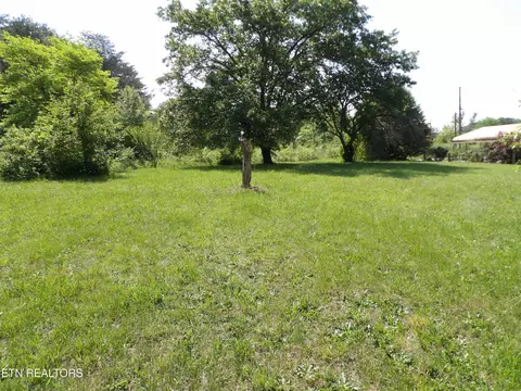 Old Rutledge Pike, Blaine, TN 37709