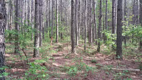 15 Airport Road, Rockwood, TN 37854