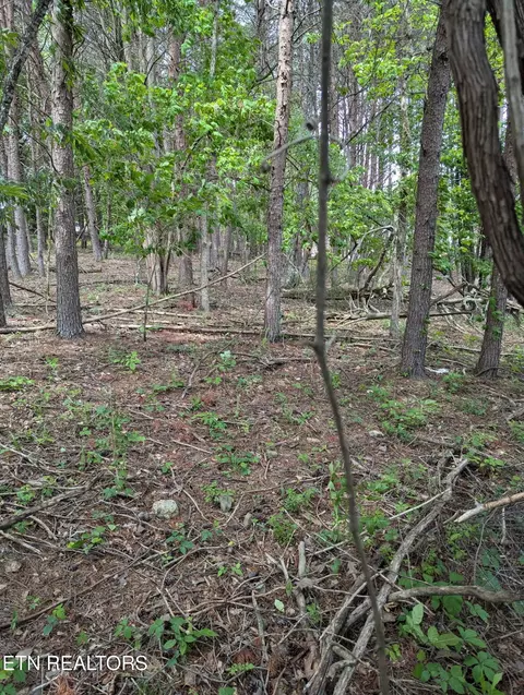 lot8 Foster Rd, Blaine, TN 37709