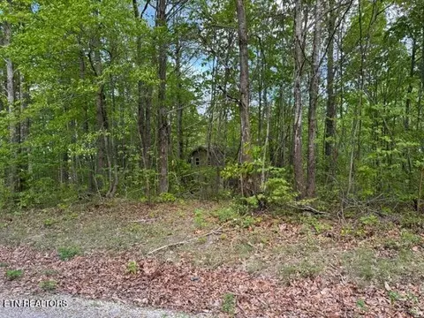 Slaven Ridge Rd, Jamestown, TN 38556