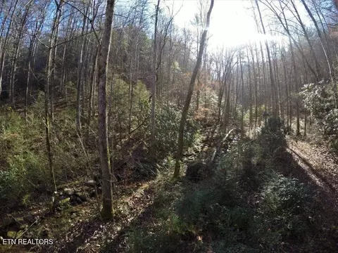 303 Chestnut Valley Ln, Vonore, TN 37885
