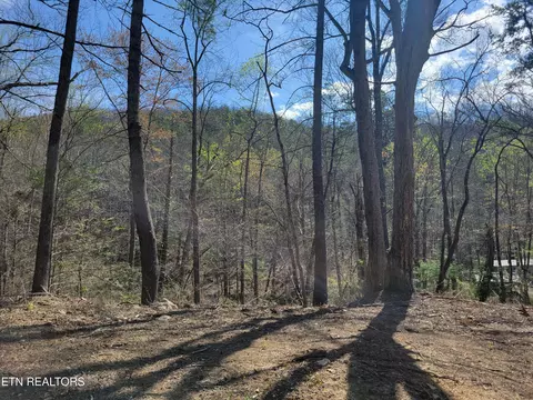 lot13 Honeysuckle Ln, Sevierville, TN 37876