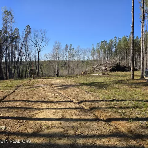 7 Summer Jade Pvt Ln # C, Robbins, TN 37852