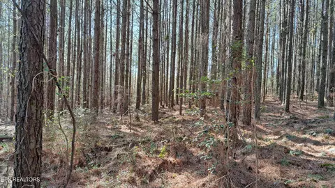 Airport Rd - Lot 24, Rockwood, TN 37854