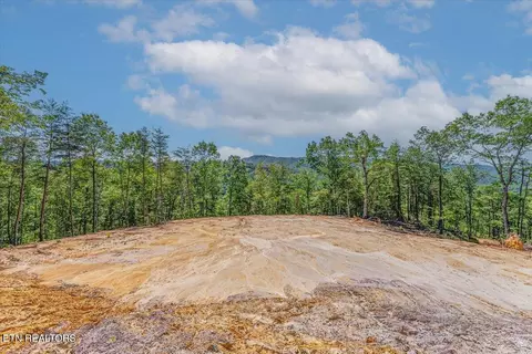 1200 Steer Creek Rd, Tellico Plains, TN 37385