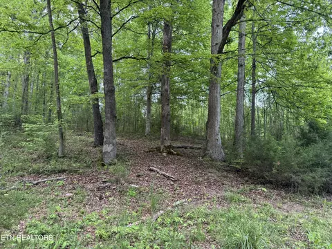 3441 Glendale Rd, Bybee, TN 37713 photo 14
