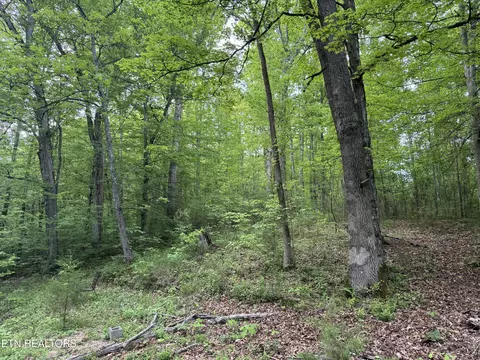 3441 Glendale Rd, Bybee, TN 37713 photo 13