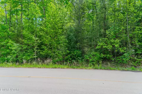 lot34 W Long Rifle Rd, Walland, TN 37886