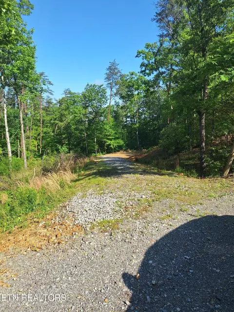Indian Ridge Drive, Tellico Plains, TN 37385