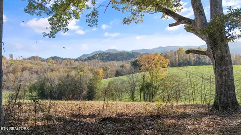 Old Walland Hwy, Walland, TN 37886
