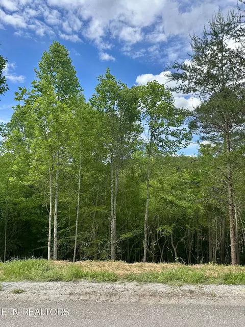 113 Laurel Way, La Follette, TN 37766