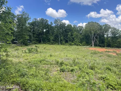 lot9 Laura Boling Loop Rd, Strawberry Plains, TN 37871