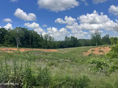 lot10 Laura Boling Loop Rd, Strawberry Plains, TN 37871