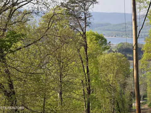 29 Acres Boatmans Mtn, Morristown, TN 37814
