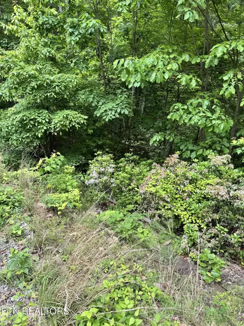 Goose Creek Lot #2 Rd, Seymour, TN 37865