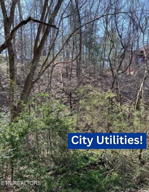 3210 Pine Way, Pigeon Forge, TN 37863