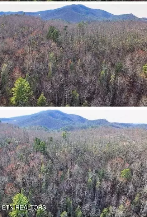 E Balls Hollow Rd, Cosby, TN 37722