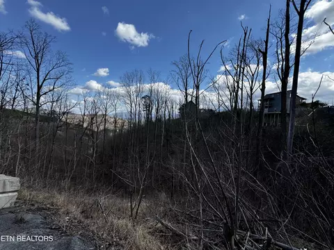 Chestnut Drive, Gatlinburg, TN 37738