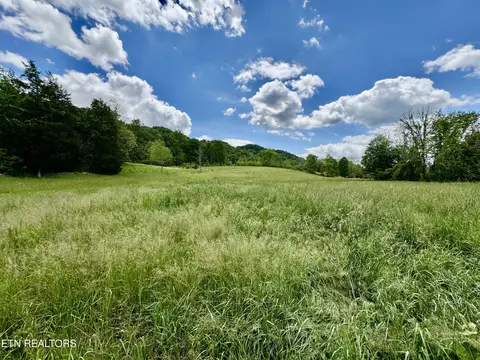 Undisclosed, Heiskell, TN 37754 photo 34