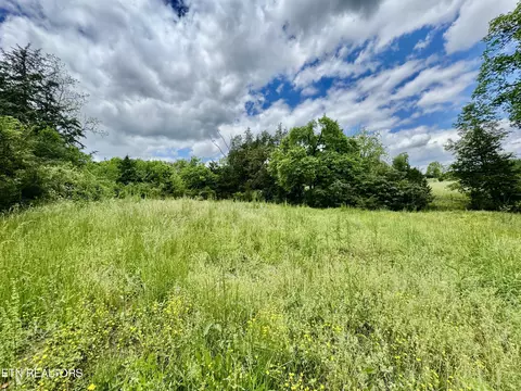 Undisclosed, Heiskell, TN 37754 photo 29