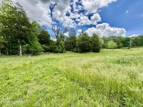 Undisclosed, Heiskell, TN 37754 photo 33