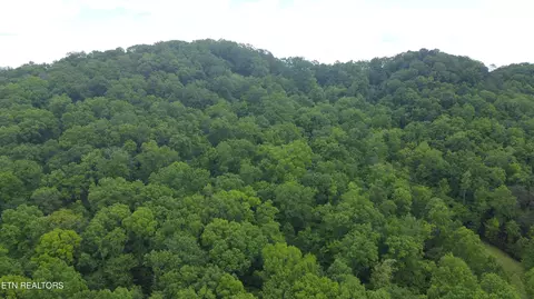 Undisclosed, Heiskell, TN 37754 photo 38