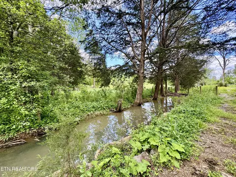 Undisclosed, Heiskell, TN 37754 photo 18