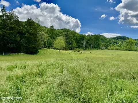 Undisclosed, Heiskell, TN 37754 photo 36