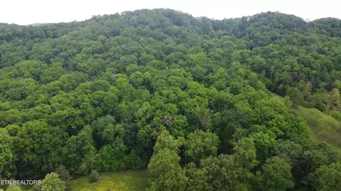 Undisclosed, Heiskell, TN 37754 photo 37