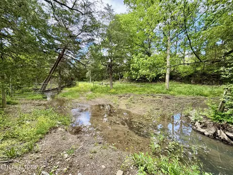 Undisclosed, Heiskell, TN 37754 photo 17
