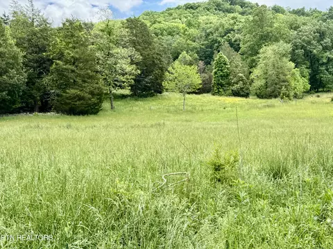 Undisclosed, Heiskell, TN 37754 photo 15