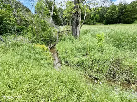 Undisclosed, Heiskell, TN 37754 photo 16