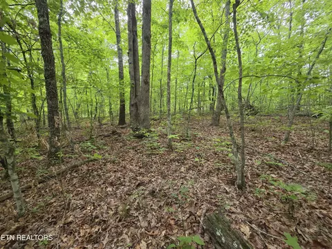 2 Cumberland Lakes Dr, Monterey, TN 38574