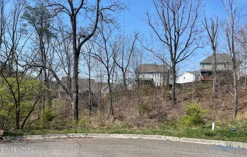 7713 Tulip Poplar Ln, Knoxville, TN 37931