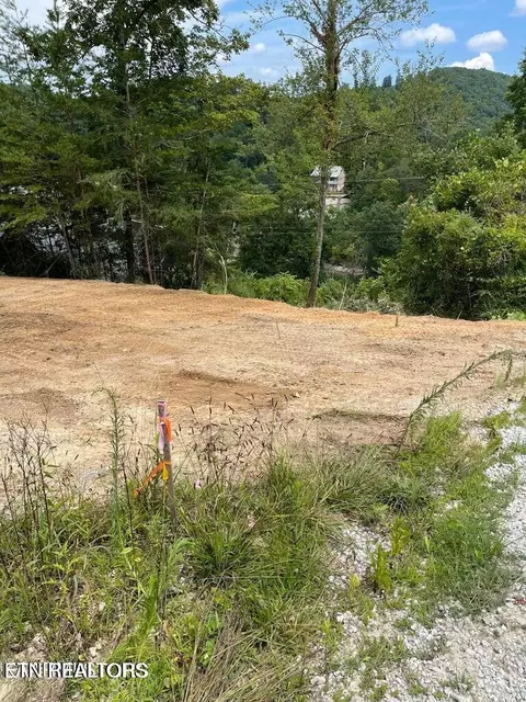 Perry Smith Lane, Caryville, TN 37714
