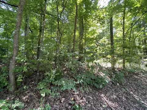 3320 Gumstand Dr, Powell, TN 37849