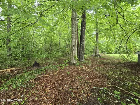 288 Andy Ln, Winfield, TN 37892 photo 36